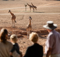 Monarto Safari Park - Schoolies Week Accommodation