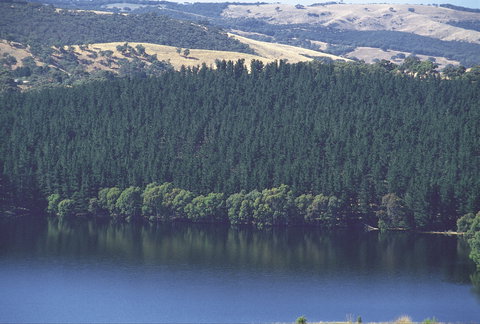 Myponga Reservoir Lookout - Schoolies Week Accommodation 0