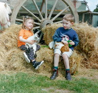 Rain Hayne and Shine Farmyard