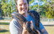 Serpentarium Wildlife Park Tasmania - thumb 0