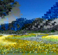 Shearer's Way - Schoolies Week Accommodation