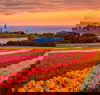 Table Cape - Schoolies Week Accommodation