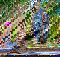 Wagirra Trail and Yindyamarra Sculpture Walk - Schoolies Week Accommodation