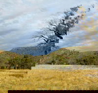 Weddin Mountains National Park - Schoolies Week Accommodation