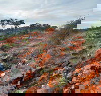 Western Ridge Walk - Schoolies Week Accommodation