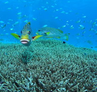 Wreck Bay Dive Site - Schoolies Week Accommodation