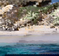 Australian Sea Lions - Schoolies Week Accommodation