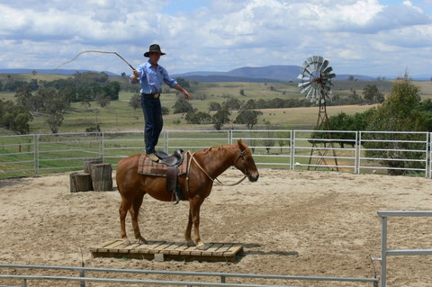 Boggy Creek Show - Schoolies Week Accommodation 0
