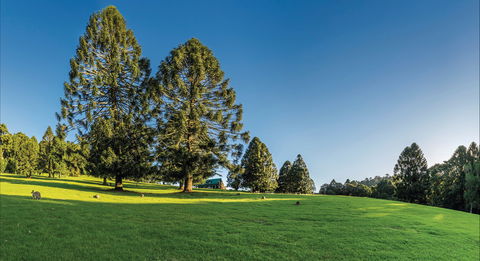 Bunya Mountains National Park - Schoolies Week Accommodation 0