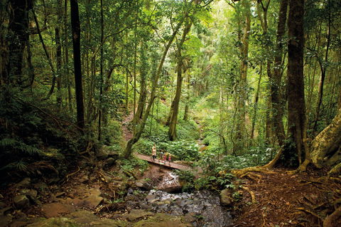 Bunya Mountains National Park - Schoolies Week Accommodation 1