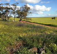 Coorow Wildflower Drive - Schoolies Week Accommodation
