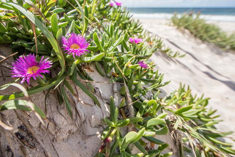 Fort Bribie - Schoolies Week Accommodation 0