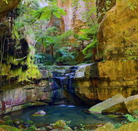 Glimpse of the Outback 5 Day Tour - Roma and Surrounds