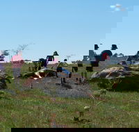 Jim Salmon  Wetland Education Site - Schoolies Week Accommodation