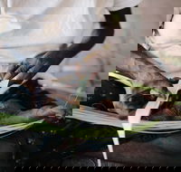 Marrawuddi Gallery - Schoolies Week Accommodation