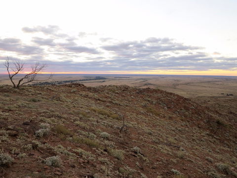 Mundi Mundi Plains - Schoolies Week Accommodation 2