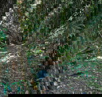 Pholis Gap Walking Track - Schoolies Week Accommodation