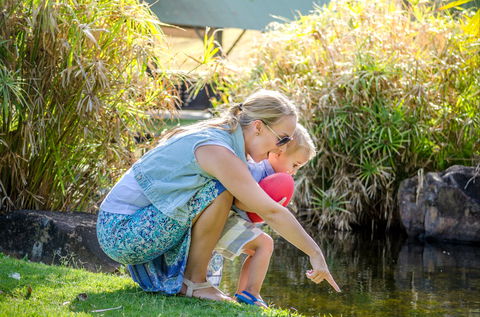 Queens Park Waterfall - Schoolies Week Accommodation 2