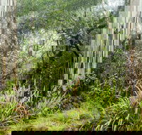 Rosewood loop - Schoolies Week Accommodation