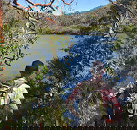 Sphinx Memorial to Bobbin Head Loop Track - Schoolies Week Accommodation