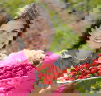 The Super Strawberry - Schoolies Week Accommodation