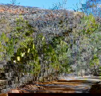 Weddin Gap to Black Spring Loop Trail - Schoolies Week Accommodation