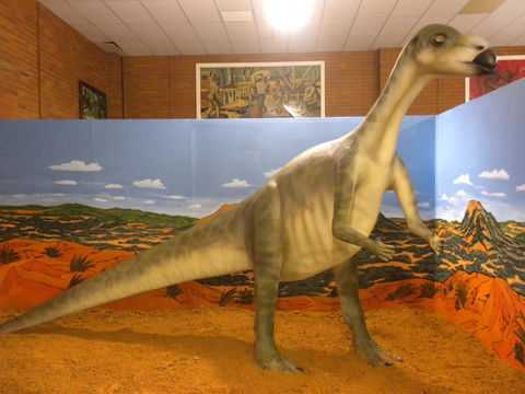 Wentworth Pioneer Museum - Schoolies Week Accommodation 1