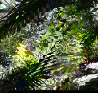 Byrrill Creek Walking Track - Schoolies Week Accommodation