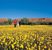 Coorow Farm Wildflower Trail - Schoolies Week Accommodation