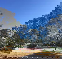 Grenfell Endemic Garden - Schoolies Week Accommodation