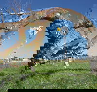 Greenough Leaning Trees - Schoolies Week Accommodation