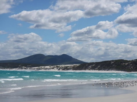Hakea Walk Trail, East Fitzgerald National Park - Schoolies Week Accommodation 0