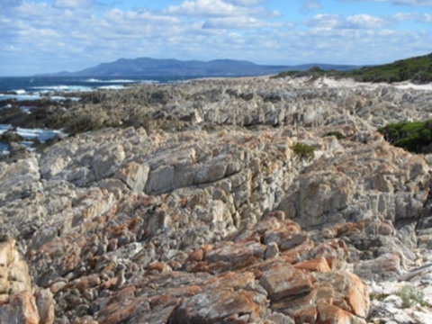 Hakea Walk Trail, East Fitzgerald National Park - Schoolies Week Accommodation 1