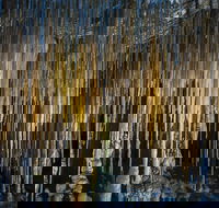 Hastings Caves and Thermal Springs - Schoolies Week Accommodation