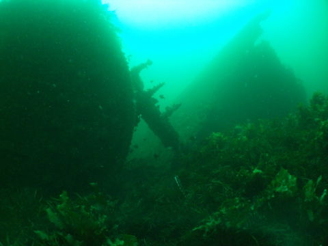 Investigator Strait Shipwreck Trail - Schoolies Week Accommodation 0