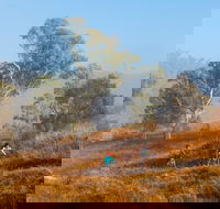 Kambah Pool to Pine Island Walking Trail - Schoolies Week Accommodation