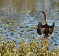 Lake Apex Park