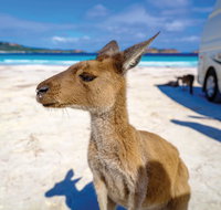 Lucky Bay