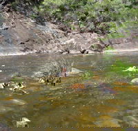Mount Boss State Forest - Schoolies Week Accommodation