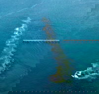 Port Noarlunga Reef Sanctuary Zone - Encounter Marine Park - Schoolies Week Accommodation