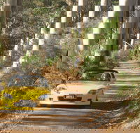 Scotsdale Tourist Drive - Schoolies Week Accommodation