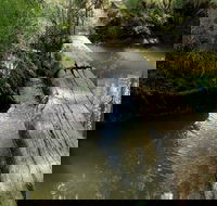 Second Ponds Creek Walk - Schoolies Week Accommodation
