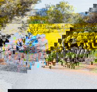 The Heron's Highway - Avon River Cycle Trail - Schoolies Week Accommodation