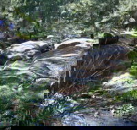 Towarri National Park - Schoolies Week Accommodation