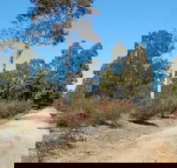 Werakata National Park - Schoolies Week Accommodation