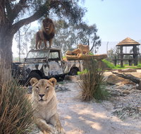 Zambi Wildlife Retreat - Schoolies Week Accommodation