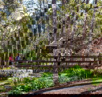 Armadale - Schoolies Week Accommodation