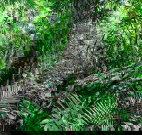 Djiru National Park - Schoolies Week Accommodation