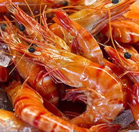 Fish and Fowl - Schoolies Week Accommodation