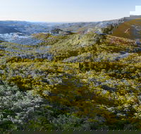 Gold Coast Hinterland Great Walk - Schoolies Week Accommodation